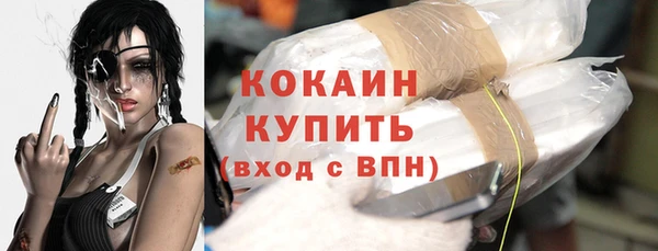 гидра Краснослободск