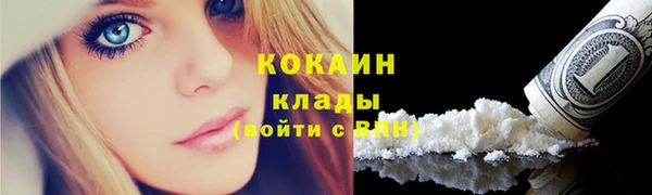гидра Краснослободск