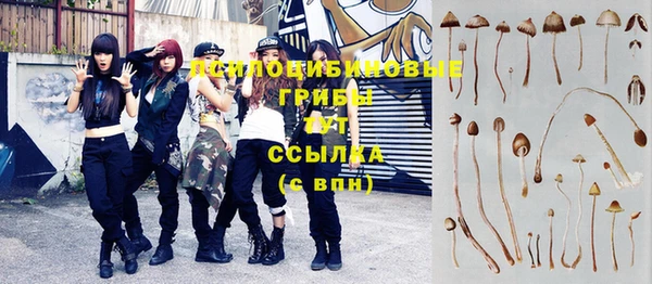 прущая мука Краснотурьинск
