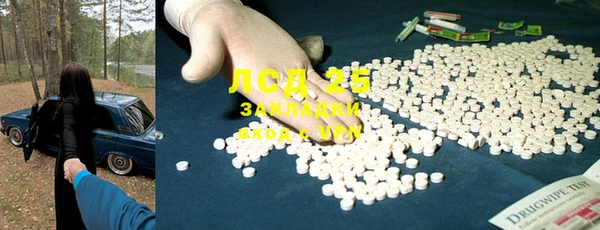 гидра Краснослободск
