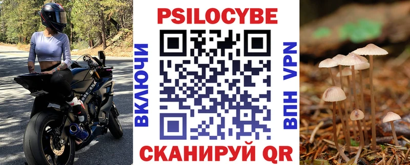 Купить где  Губкин  Псилоцибиновые грибы мухоморы 